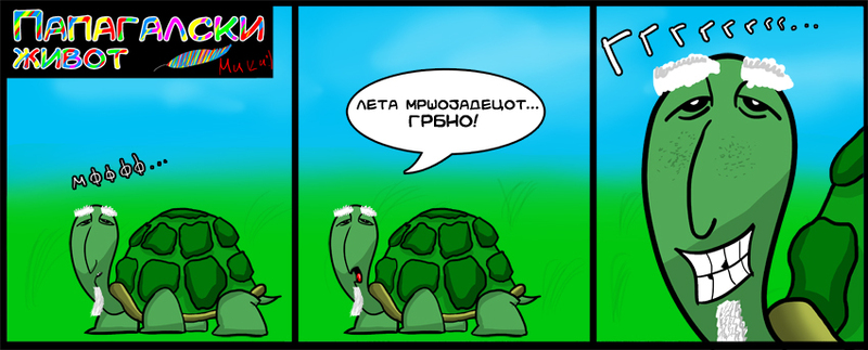 ПАПАГАЛСКИ ЖИВОТ