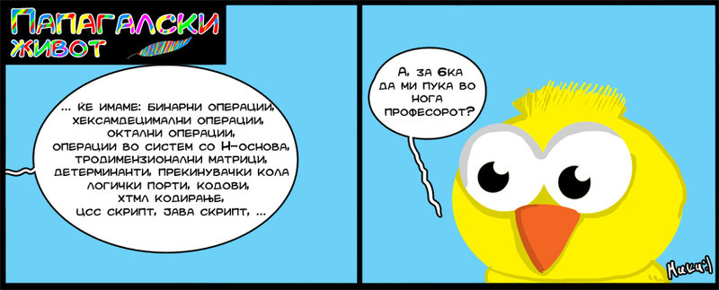 ПАПАГАЛСКИ ЖИВОТ