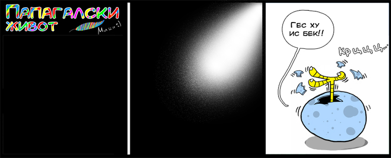 ПАПАГАЛСКИ ЖИВОТ