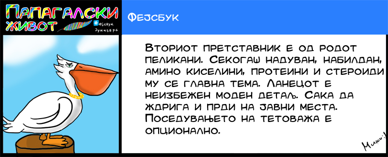 ПАПАГАЛСКИ ЖИВОТ