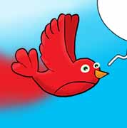 ПАПАГАЛСКИ ЖИВОТ