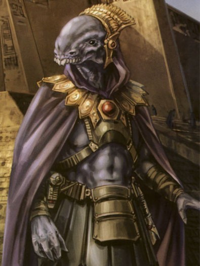 ОСВРТИТЕ НА МЕШКОВ!