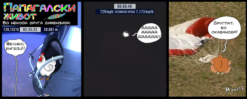 ПАПАГАЛСКИ ЖИВОТ