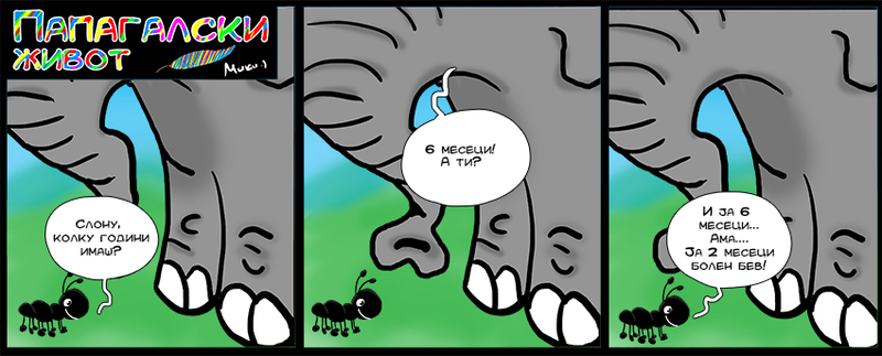 ПАПАГАЛСКИ ЖИВОТ