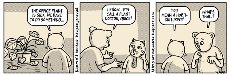 Мачорот Бромо