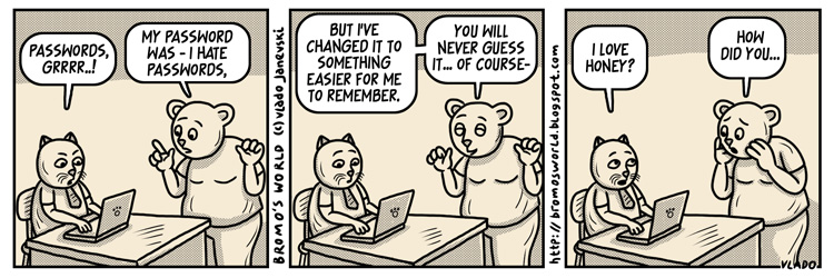 Мачорот Бромо!