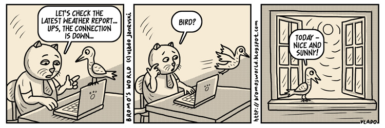 Мачорот Бромо