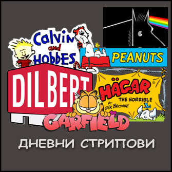 Дневен Фикс