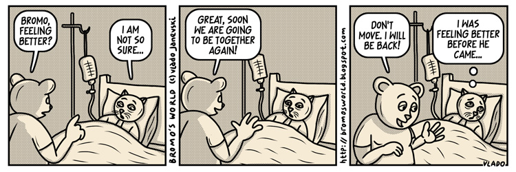 Мачорот Бромо!