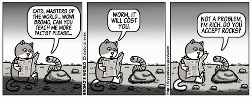 Мачорот Бромо!